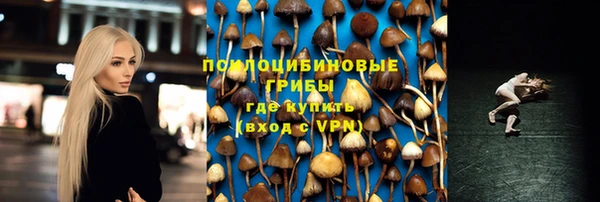 индика Покров