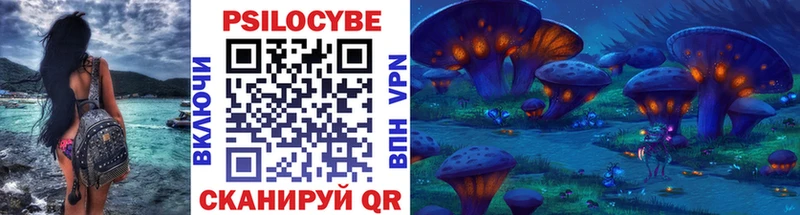 Купить где  Пойковский  Галлюциногенные грибы Psilocybine cubensis 