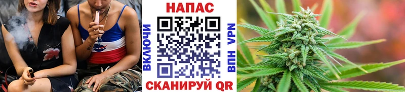 Купить закладки  Пойковский  Канабис MAZAR 